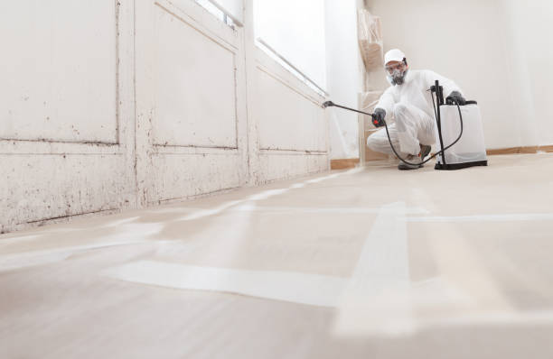 24/7 Emergency Mold Inspection experts in Levering, MI