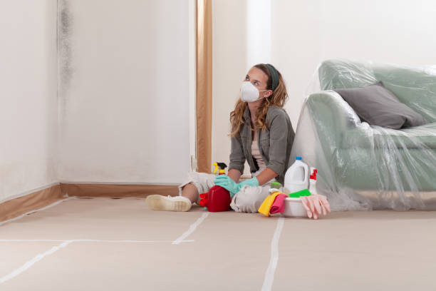 Trusted Commercial Mold Remediation service in Levering, MI - Cheap Mold Removal
